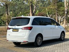 Buick GL8 Land Executive Cabin 652T Luxury - ფოტო 5