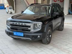 Great Wall Dachshund 2.0T DCT Chinese Rural Dog Edition - ფოტო 1