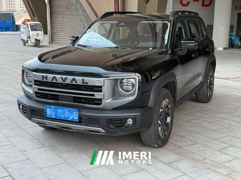 2024 Great Wall Dachshund 2.0T DCT Chinese Rural Dog Edition - ავტომობილი ჩინეთიდან