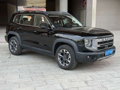 Great Wall Dachshund 2.0T DCT Chinese Rural Dog Edition - ფოტო 3