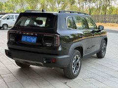 Great Wall Dachshund 2.0T DCT Chinese Rural Dog Edition - ფოტო 6
