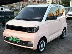 BMW Hongguang MINIEV Macaron Color Edition LFP Battery - ფოტო 1