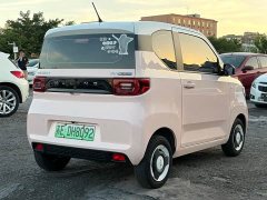 BMW Hongguang MINIEV Macaron Color Edition LFP Battery - ფოტო 5