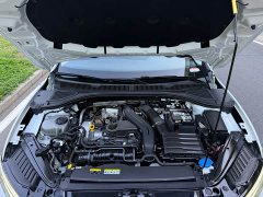 Volkswagen Sagitar 300TSI DSG Excellence Edition - ფოტო 18