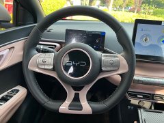 BYD Seagull 305km Freedom Edition - ფოტო 10