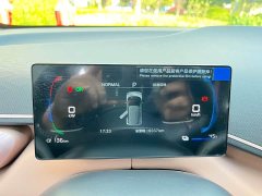 BYD Seagull 305km Freedom Edition - ფოტო 14