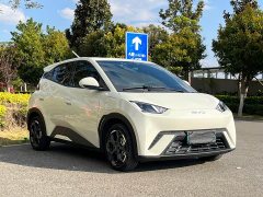BYD Seagull 305km Freedom Edition - ფოტო 3