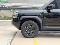 Volkswagen Leopard 5 2025 210KM Yunluo Tenshen Ultra - ფოტო 6