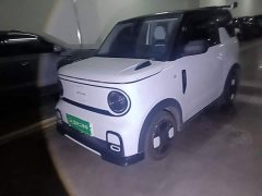 Geely Panda 2025 210km Panda Kart - ფოტო 1