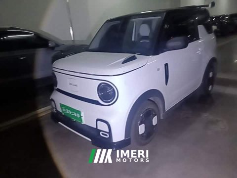 2024 Geely Panda 2025 210km Panda Kart - ავტომობილი ჩინეთიდან