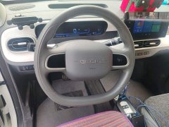 Geely Panda 2025 210km Panda Kart - ფოტო 12