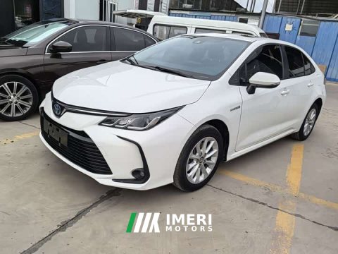 2022 Toyota Corolla 2021 Hybrid 1.8L E-CVT Elite - ავტომობილი ჩინეთიდან