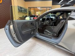 Ford Mustang 5.0L V8 Dark Horse - ფოტო 10
