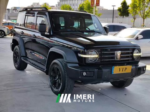 2021 Tank 300 Off-Road Edition 2.0T Explorer - ავტომობილი ჩინეთიდან
