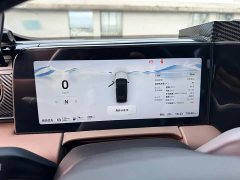 Leapmotor C11 Extended Range 285 Smart Enjoyment Edition - ფოტო 20