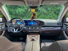 Mercedes-Benz GLE (Imported) GLE 350 4MATIC Fashion - ფოტო 15