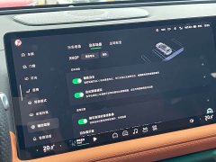 Xpeng G9 2022 702 Max - ფოტო 17