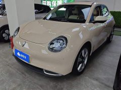 ORA Good Cat 400km Standard Range Athena Edition Ternary Lithium - ფოტო 1