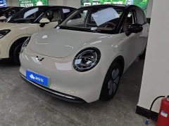 Wuling Binguo Bingo Pro 403km Flagship - ფოტო 1
