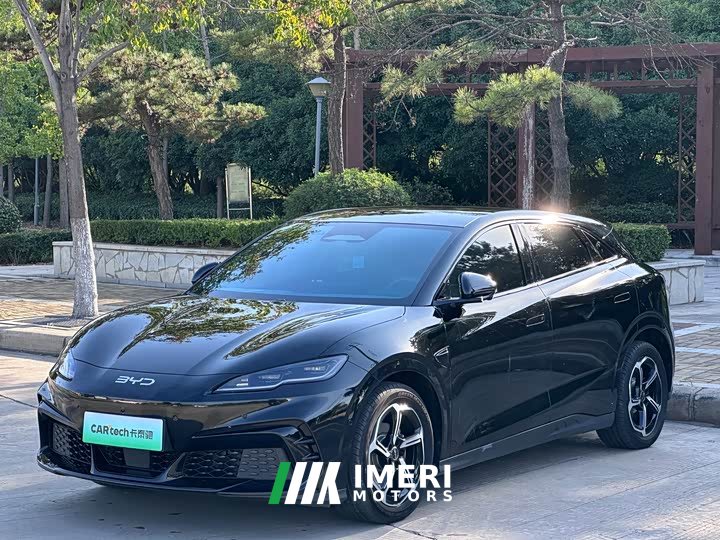 BYD Dolphin 06GT 505 Wave Plus Edition - ავტომობილი ჩინეთიდან