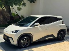 BYD Seagull Glory Edition 305km Freedom Version - ფოტო 1
