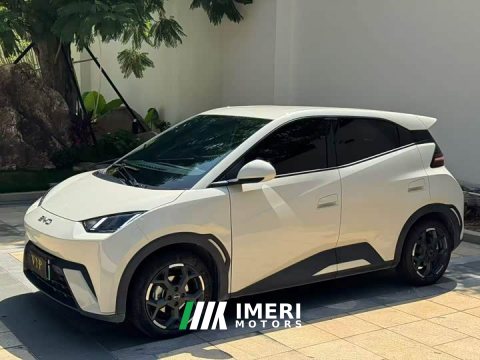 2024 BYD Seagull Glory Edition 305km Freedom Version - ავტომობილი ჩინეთიდან