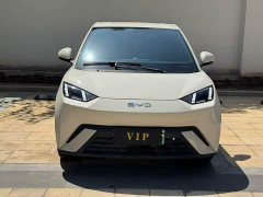 BYD Seagull Glory Edition 305km Freedom Version - ფოტო 2