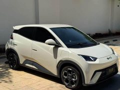 BYD Seagull Glory Edition 305km Freedom Version - ფოტო 3