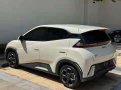 BYD Seagull Glory Edition 305km Freedom Version - ფოტო 7