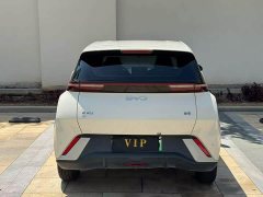 BYD Seagull Glory Edition 305km Freedom Version - ფოტო 8