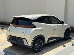 BYD Seagull Glory Edition 305km Freedom Version - ფოტო 9