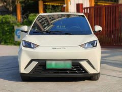 BYD Seagull Vitality Edition - ფოტო 2