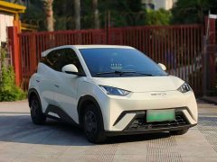 BYD Seagull Vitality Edition - ფოტო 3