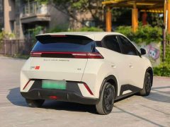 BYD Seagull Vitality Edition - ფოტო 5