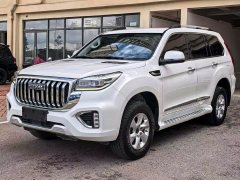 Haval H9 2022 2.0T Gasoline 4WD All-Purpose 5-Seater - ფოტო 1