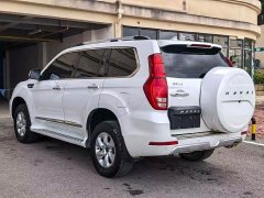 Haval H9 2022 2.0T Gasoline 4WD All-Purpose 5-Seater - ფოტო 9
