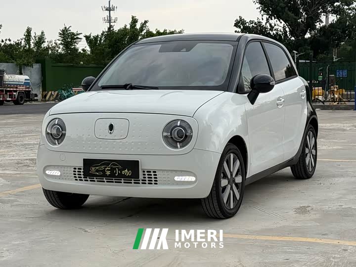 ORA Black Cat 351km Luxury - ავტომობილი ჩინეთიდან