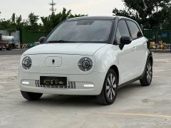 ORA Black Cat 351km Luxury - ფოტო 1