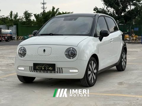 2021 ORA Black Cat 351km Luxury - ავტომობილი ჩინეთიდან