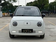 ORA Black Cat 351km Luxury - ფოტო 2