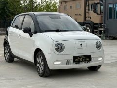 ORA Black Cat 351km Luxury - ფოტო 3