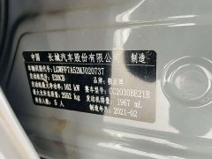 Tank 300 Off-Road Edition 2.0T Conqueror - ფოტო 17