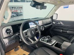 Tank 300 Off-Road Edition 2.0T Conqueror - ფოტო 6