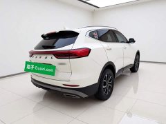 Haval H6 National Trend Edition 1.5T Automatic Urban Version - ფოტო 6