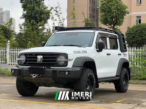 2022 Tank 300 2023 Off-Road Edition 2.0T Conqueror - ავტომობილი ჩინეთიდან