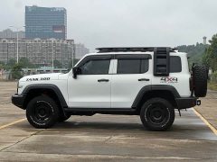 Tank 300 2023 Off-Road Edition 2.0T Conqueror - ფოტო 11