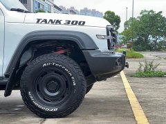 Tank 300 2023 Off-Road Edition 2.0T Conqueror - ფოტო 17