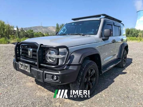 2022 Tank 300 2021 Off-Road Edition 2.0T Challenger - ავტომობილი ჩინეთიდან