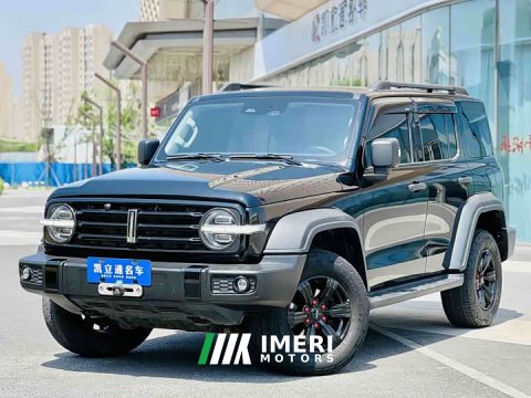 2021 Tank 300 Off-Road Edition 2.0T Conqueror - ავტომობილი ჩინეთიდან