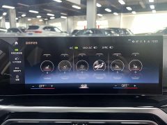 BMW 3 Series 320Li M Sport Package - ფოტო 7